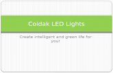 Coidak LED Lights Motion Sensor Spotlight