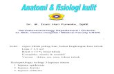 IT 11 - Anatomi & Fisiologi Kulit - IZZ