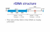 L22 Genome Evolution 15 (1)