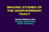 Imaging Studies of the Genitourinary Tract