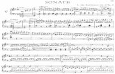 Beethoven. Piano Sonata in D Min Op.125