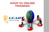 Soup ui online training with live projects in India