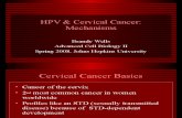 9 HPV and Cervical Mechanisms Johns Hopkins B Wells