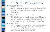 Anatomy Physiology Pregnancy