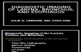 Diagnostic Imaging of Larynx, Bronchus, And