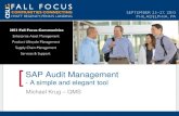 0508 SAP Audit Management A Simple and Elegant Tool.pdf