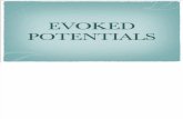 Evoked Potentials in Human Body