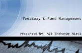 Treasury & Fund Management Overview