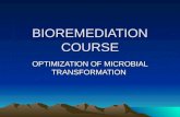 Optimization of Bioremediation Process