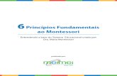 6 Principios Fundamentais - Montessori