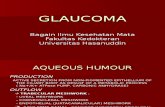 Glaucoma Unhas