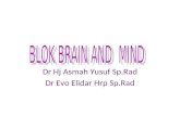 Blok Brain and Mind