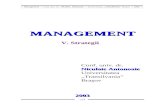 Management  5 Strategii 2003