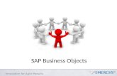 SAP Business Objects Input Document V3