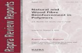 Natural and Wood Fibre Reinforcement in Polymers__Rapra Review Reports