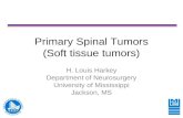Primary Spine Tumors (Soft Tissue)