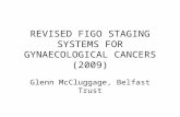 figo staging systems 2009