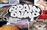 Brain Dump - How It Works 8 2014