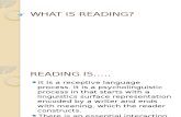 Presentación1 READING