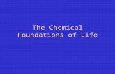 The Chemical Foundation of Life (2)