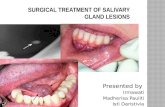 58237 Surgical Treatment