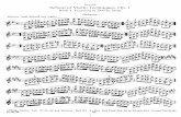 Sevcik - School of Violin Technique Book 4