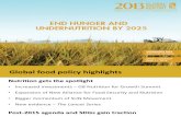 IFPRI-Global Food Policy Report 2013