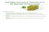 Ch 31 Seed Plant Structure Notes