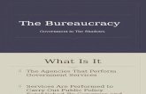 Unit III, Govternment 2305, Chapter 13, The Bureauracracy