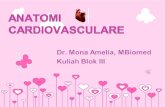 Anatomi Cardiovaskuler Dr. Mona