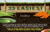 Easiest vegetables to grow