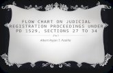 Flow Chart on Judicial Registration Proceedings