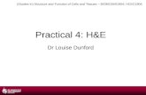 Practical 4 - H&E.pptx