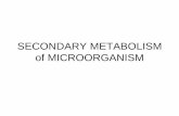 Secondary metabolites of Microorganism.pdf