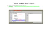 Inc697022 - Ssap Setup Document