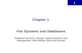 File System and Database