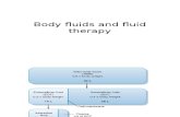 Body Fluids and Fluid Therapy