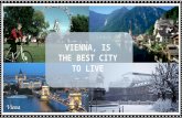 Vienna - Photos