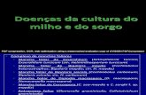 Sorgo e Milho Doencas.pdf