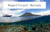 Magnificent Manado