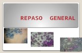REPASO BIOLOGIA (3)