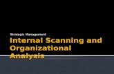 Internal Scanning and Organizational Analysis