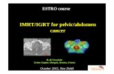 L29 - IMRT and IGRT for Pelvic Abdomen Cancer - De Crevoisier