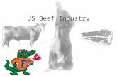 Beef Tour Grades, Palatability, Safety - Copia