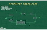 Automatic Regulation