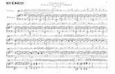 Mendelssohn, Felix - Concerto in E Minor, Op.64