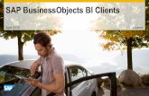 Choosing the Right SAP BusinessObjects BI Client