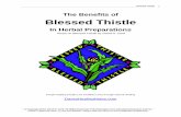 Blessed Thistle Herb