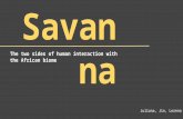 About Savanna