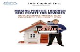 Making Profits Through Real Estate for Newbies(3)